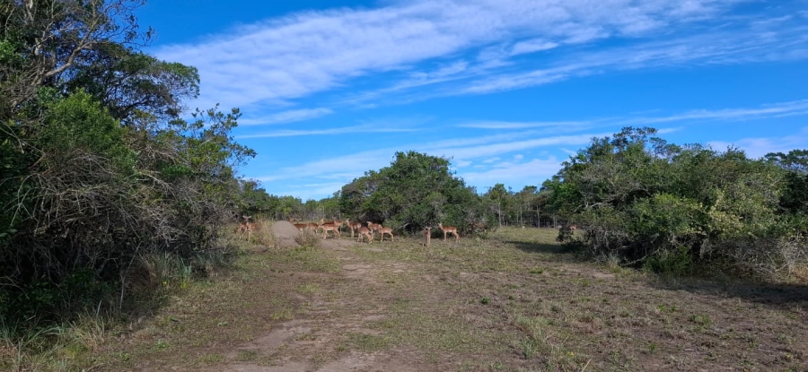 4 Bedroom Property for Sale in Sunrise On Sea Eastern Cape